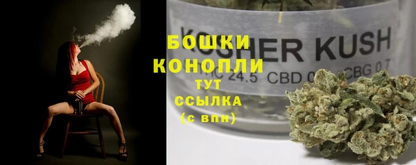соль ск Заводоуковск