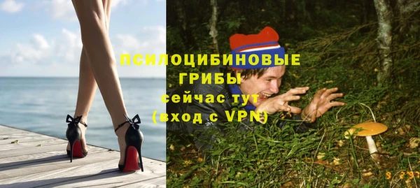соль ск Заводоуковск