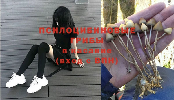 кристаллы Заволжье