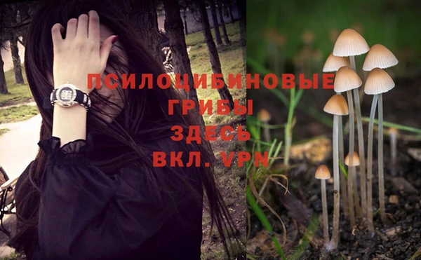 прущая мука Заволжск