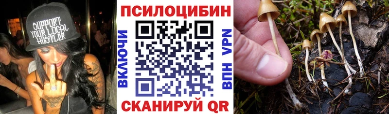 Псилоцибиновые грибы ЛСД  как найти   блэк спрут зеркало  Копейск 